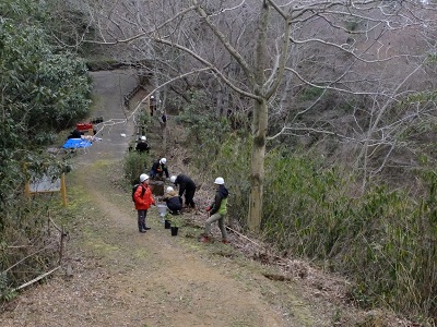 植栽作業の様子の遠景画像