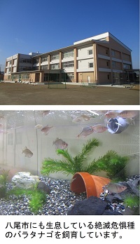 校舎外観写真とバラタナゴ（魚）の写真