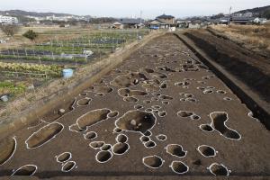 調査地を南から撮影した全景写真