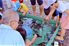 せんなん里海公園