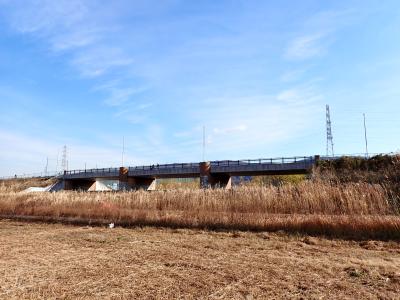 池島緑地中橋1