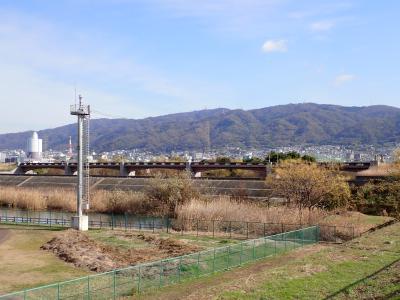 池島弥生橋1