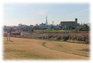 久宝寺緑地ドローン