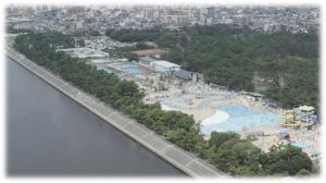 浜寺公園の上空からの画像