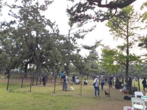 浜寺公園ドッグラン