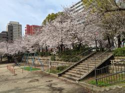 上汐公園春