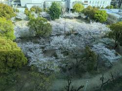 上汐公園7階からの眺め