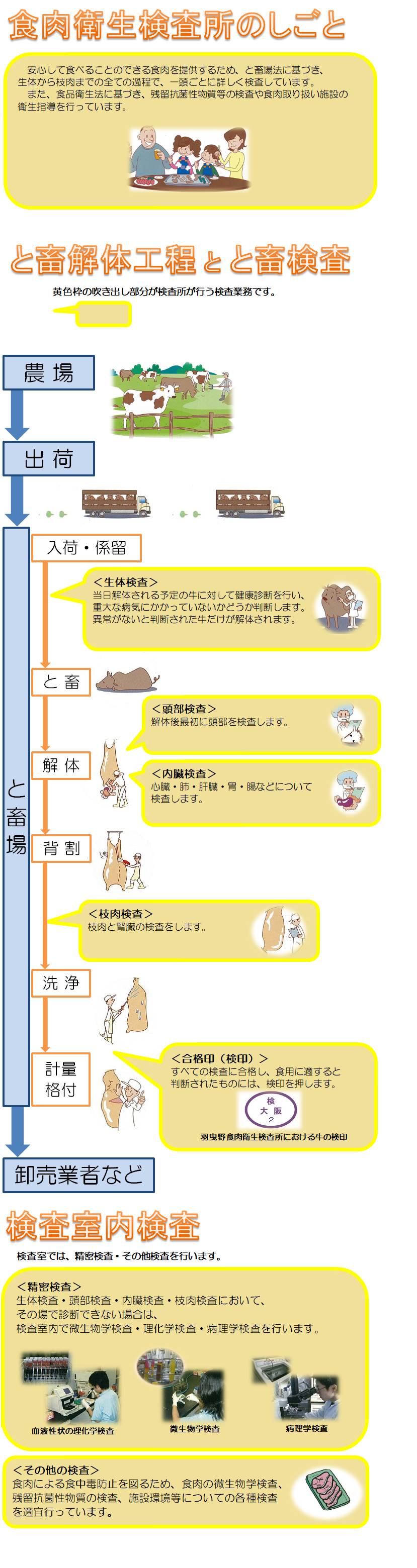 と畜解体工程とと畜検査