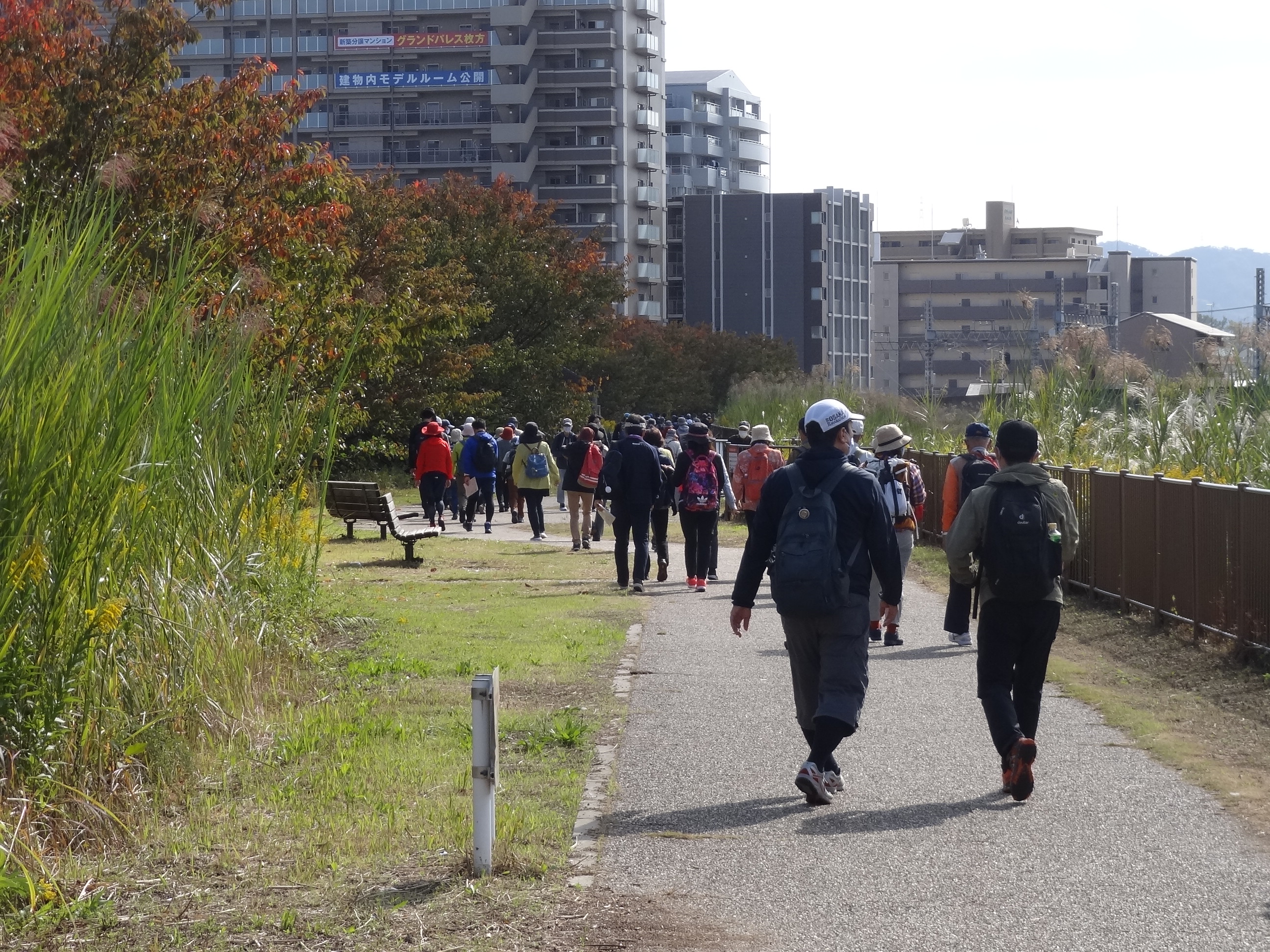 遊歩道1