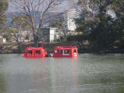 水陸両用車2