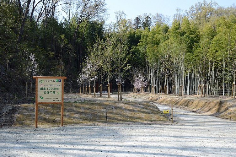 活動地の全景写真