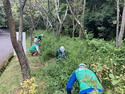 並んで草刈り作業中