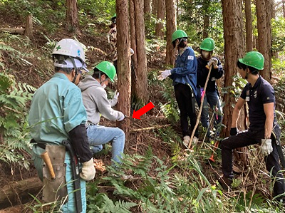 風倒木の集積作業2