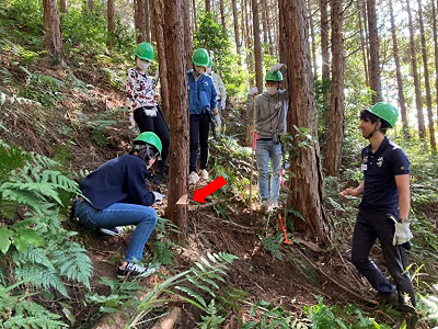 間伐作業の状況2