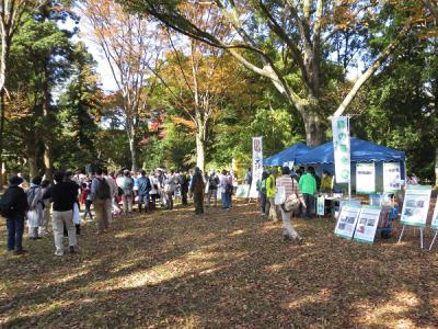 ゴール会場（新池展望広場）の様子