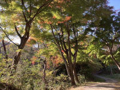 むろいけ園地の様子