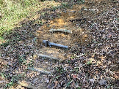 階段が整備された歩道の写真