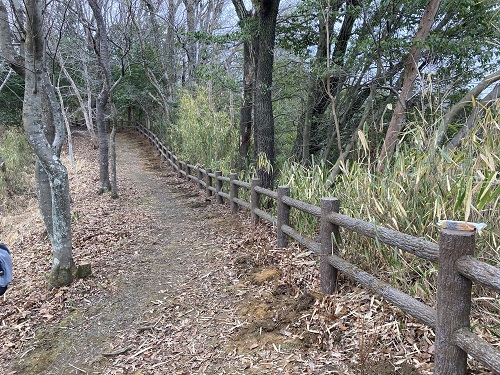 植栽作業後の歩道写真