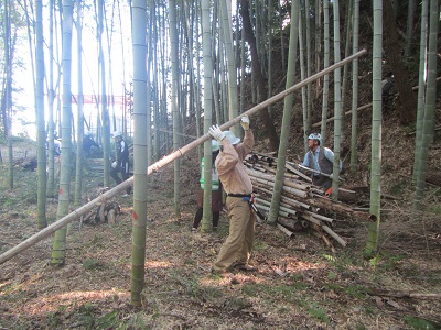 竹林を伐採している状況写真