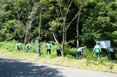 並んで草刈り作業中