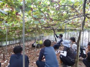 画像：大阪府農業大学校学生の実習風景