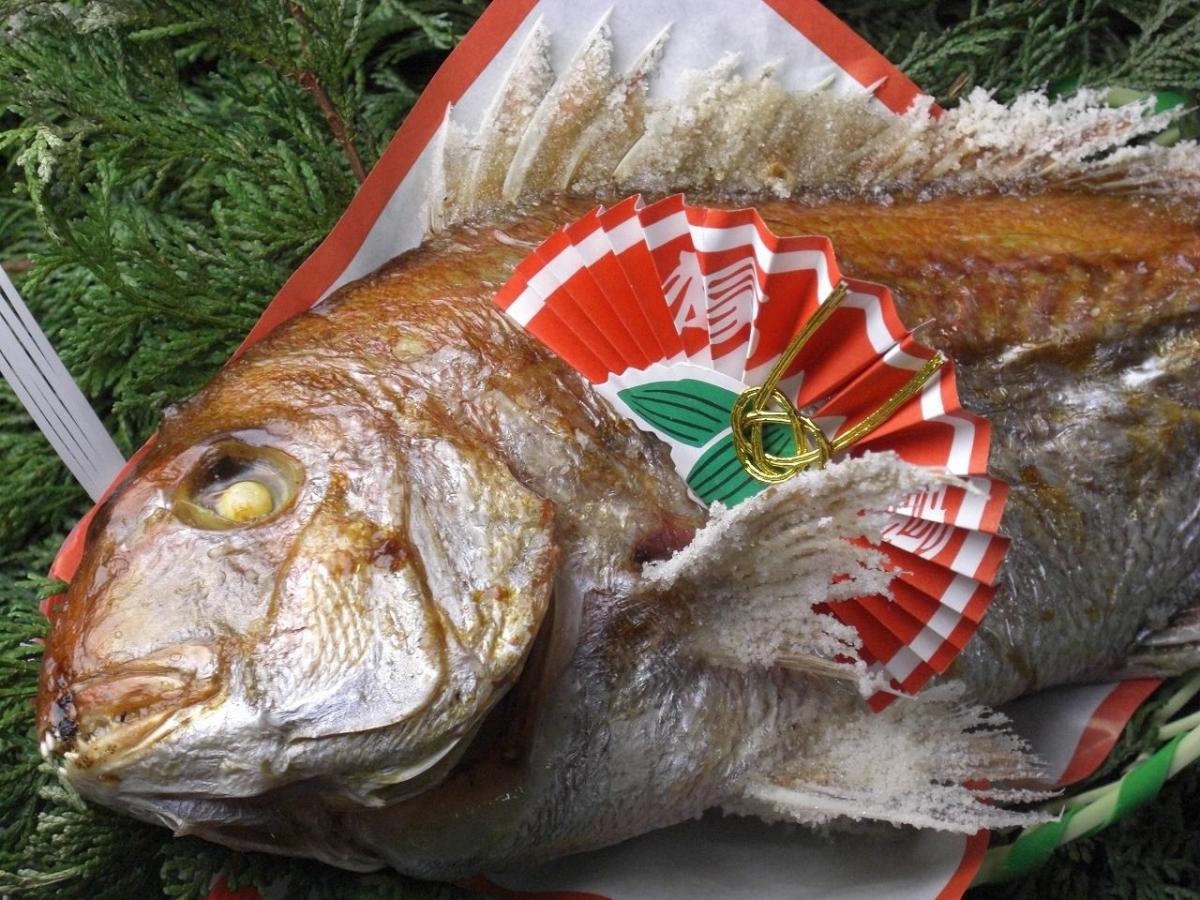 天然祝鯛炭火焼