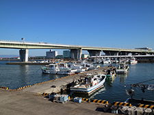 漁港内の風景