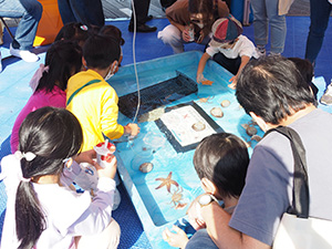 魚庭の海づくり大会3