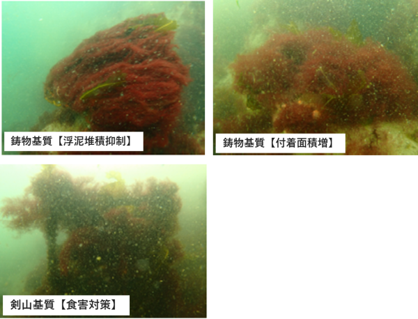 A区画令和8年3月