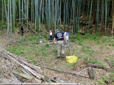 タケノコ掘りの画像