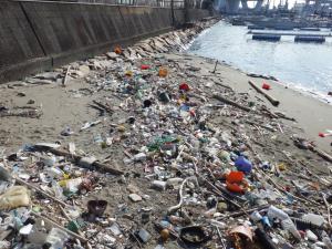 画像：大阪湾の海岸に漂着したプラスチックごみ