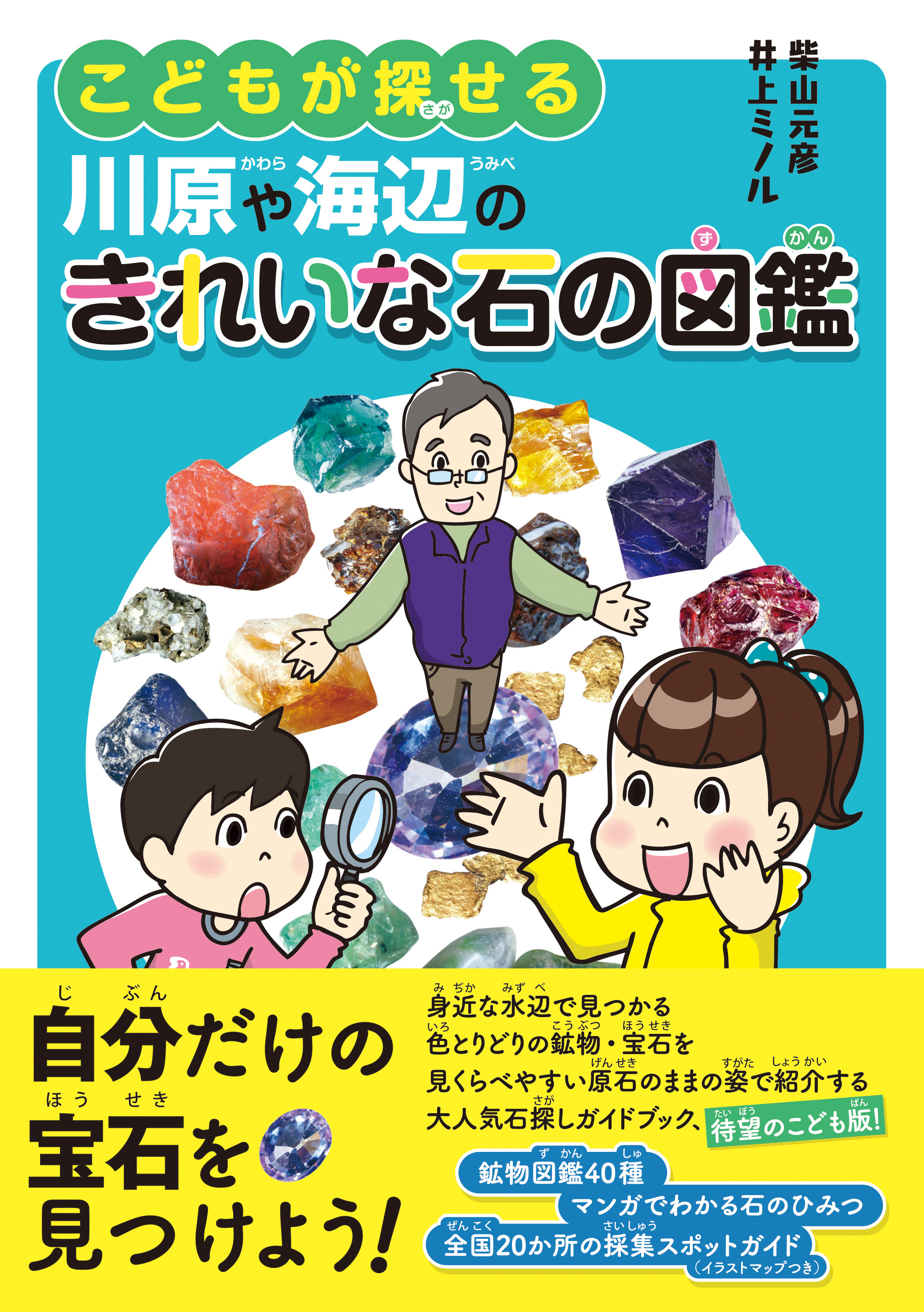 こどもが探せる川原や海辺のきれいな石の図鑑