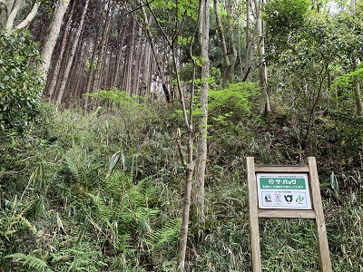 活動地の遠景画像