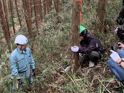 伐採作業の画像