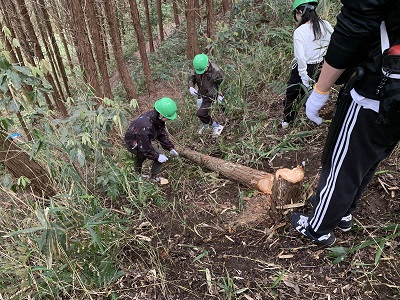 伐採後の作業画像