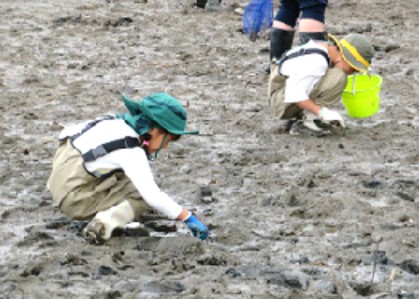 男里川河口干潟での生物観察