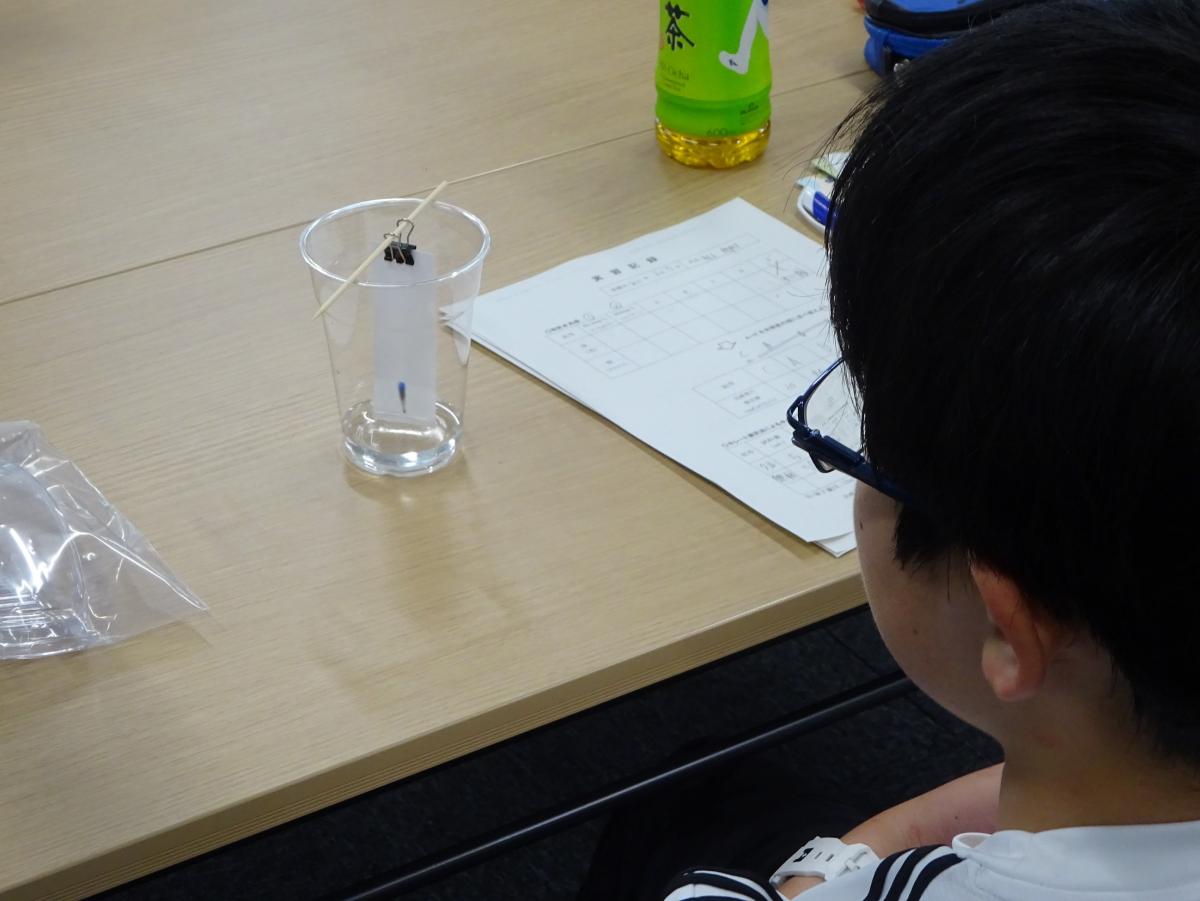 ペーパークロマトグラフ