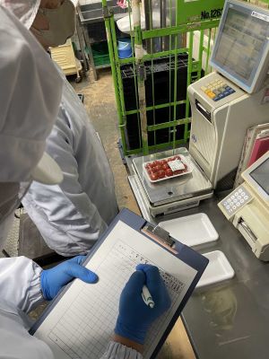 量目検査の様子