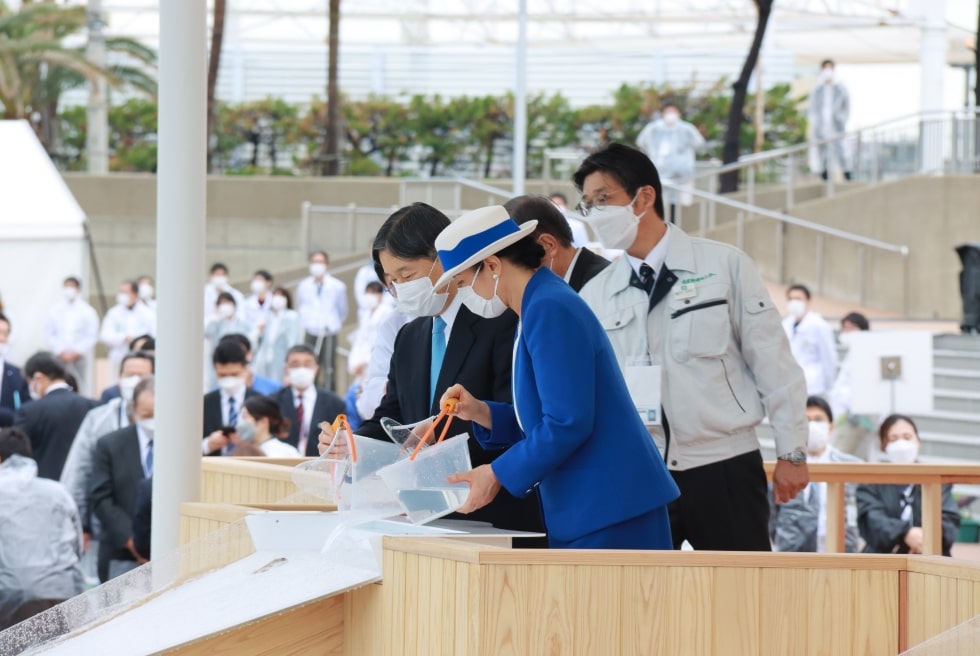 稚魚放流の様子（兵庫県）