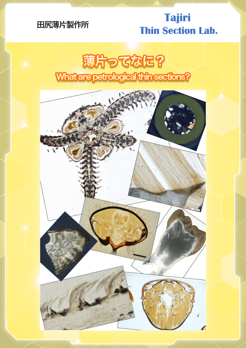 サムネイル(田尻薄片)