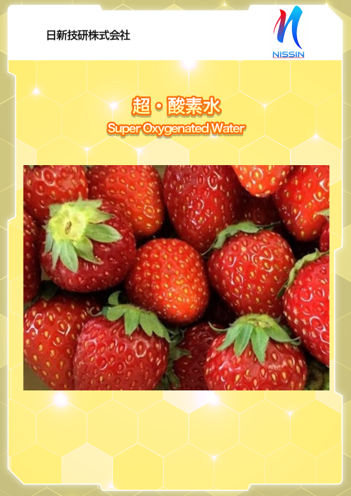 サムネイル(日新技研)