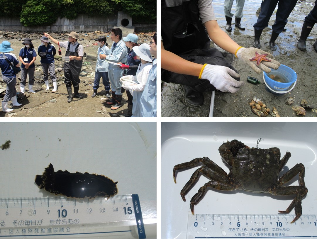 6月4日現地作業の様子