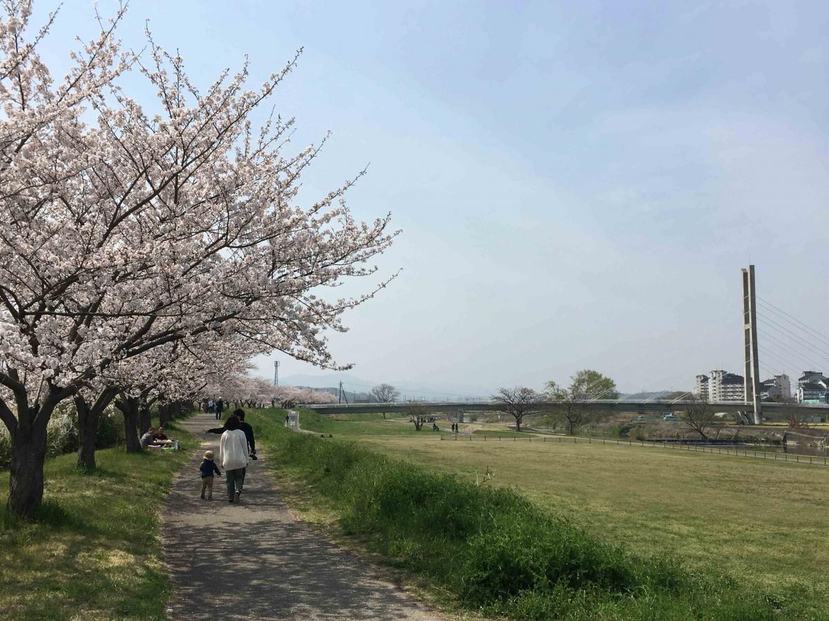 石川河川公園