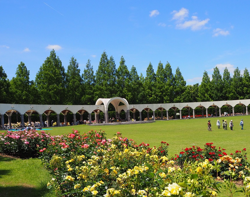 蜻蛉池公園