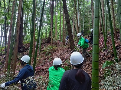 竹の伐採作業の画像