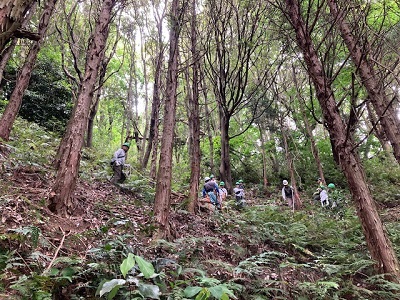 活動地の全景画像