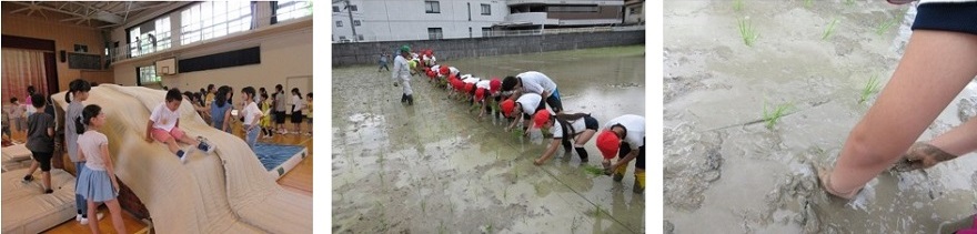 行事写真（児童会行事、田植え）