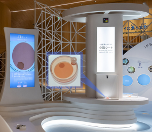 実物心筋シート