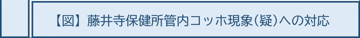 藤井寺保健所管内コッホ現象(疑)への対応