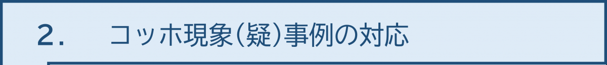 コッホ現象（疑）への対応